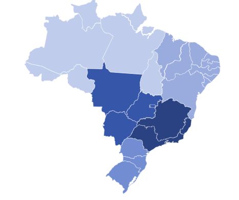 Fonte: Carrefour RI (densidade das lojas pelo Brasil)