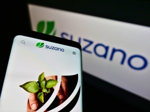 celular com imagem de árvore e logotipo da Suzano na tela
