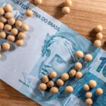 No fim de junho, o governo brasileiro apresentou o Plano Safra para a temporada 2022/23. Ao todo, serão destinados R$ 340,8 bilhões.