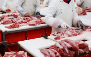 funcionários trabalhando em frigorífico cortando carnes vaca louca